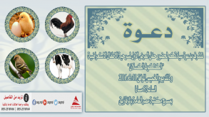 دعوة لحضور مسرحية ” الكتكوت الكسلان”