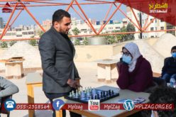 نشاط الشطرنج